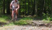 Trail Mountain bike Obernai - ottrott - Photo 1