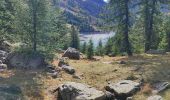 Trail Walking Allos - Lac d'Allos petite cayolle - Photo 4