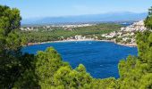 Tocht Stappen Torroella de Montgrí - Cala Montgo à l'Escala - Photo 2