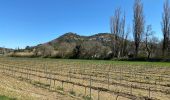 Randonnée Marche Saint-Paul-Trois-Châteaux - Clansayes - sentier de la truffe  - Photo 3