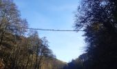 Tocht Stappen Mörsdorf - pont suspendu de Geierlay - Photo 11