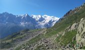 Randonnée Marche Chamonix-Mont-Blanc - Les Lacs Noirs 10.7.22 - Photo 17