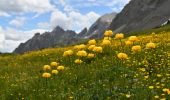 Tocht Stappen Colmars - Pk Ratery - Col des Champs - Photo 3