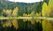 Randonnée A pied Baiersbronn - Baiersbronner Himmelsweg: Naturgewalten-Tour - Photo 10