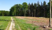 Randonnée Marche Court-Saint-Étienne - Bois³ de l'Abbaye - Photo 3