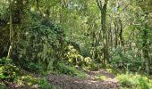 Trail Walking Sainte-Anastasie-sur-Issole - Saint Quinis - Ste Anastasie - Photo 17