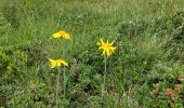 Tocht Stappen Heuvelland - refuge des marchés 1 - Photo 9