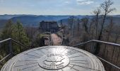 Trail Walking Philippsbourg - 2023-04-09 Marche Chateaux Rothenbourg Waldeck Falkenstein - Photo 10