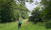 Tocht Stappen Houyet - Hour - Photo 9