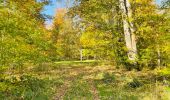 Excursión Senderismo Compiègne - en forêt de Compiègne_43_le Petit Octogone et vers la Faisanderie - Photo 6