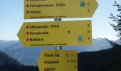 Tour Zu Fuß Dienten am Hochkönig - Dienten-Schneeberg-Mühlbach - Photo 7