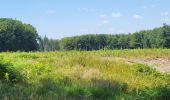 Trail Walking Assesse - Sart Bernard 010725 - Photo 7