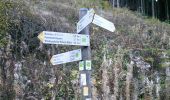 Randonnée A pied Montjoie - Monschauer Nationalpark-Wanderweg 