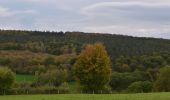 Tour Wandern Theux - 20221103 - Polleur 6.6 Km - Photo 12