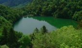 Tocht Stappen Rimbach-près-Masevaux - Ermensbach et les trois lacs - Photo 3