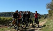 Percorso Mountainbike Bédoin - Crillon Z'ensemble - Photo 3