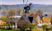 Tour Zu Fuß Groß Wittensee - Wanderroute 10: Groß Wittensee - Kirchhorst - Photo 5