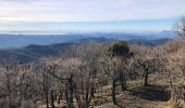 Tour Wandern Pignans - Pignans - Notre Dame des anges - Photo 4