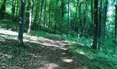 Trail Walking Musson - Tour de la forêt des Monts. - Photo 19