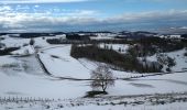 Trail Walking Brion - COL DE TOUTES AURES - Photo 6