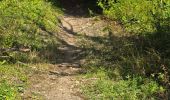 Tocht Stappen Brières-les-Scellés - Brières-les-Scellés - Photo 12