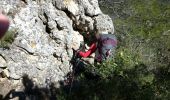 Trail Walking La Roquebrussanne - la roquebrussanne - Photo 14