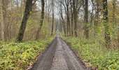 Trail Walking Silly - Gondregnies - bois de la Provision - Fouleng - Photo 10