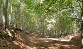 Randonnée Vélo électrique Castiglione di Sicilia - Etna nord brunek - Photo 3