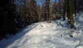 Tour Zu Fuß Zobten am Berge - Zielony Strzelce - Ząbkowice Śl. - Photo 9