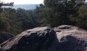 Excursión Senderismo Fontainebleau - Cabaret Masson - Photo 3