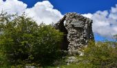 Tour Wandern Andon - Andon - Pk Pont du Loup - Le Castellaras - Château des 4 Tours - Photo 7