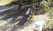 Trail On foot Sausset-les-Pins - Grand Vallat - Littoral - Photo 1