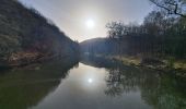 Tour Wandern La Roche-en-Ardenne - rando ornitho warempage 24/02/2021 - Photo 14