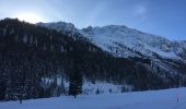 Excursión Raquetas de nieve Orsières - Champex Lac - La Breya - Champex Lac - Photo 14