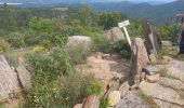 Randonnée Marche Les Arcs-sur-Argens - Les Arcs Menhirs et Dolmen - Photo 9