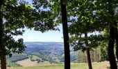 Tocht Stappen Stavelot - Promenade du point de vue de Ster  - Photo 4