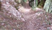 Trail Walking Ouhans - RANDONNEE A LA SOURCE DE LA LOUE - Photo 11