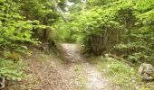 Trail Walking Romeyer - Col des Bachassons depuis Romeyer - Photo 7
