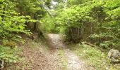 Tour Wandern Romeyer - Col des Bachassons depuis Romeyer - Photo 7