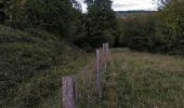 Trail Walking Virton - Sentier des Dragons  -  Marche_4kms - Photo 13