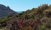 Tour Wandern Duilhac-sous-Peyrepertuse - 7eme étape sentier cathare  - Photo 19