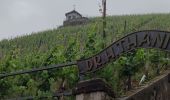 Tour Wandern Bernkastel-Kues - A travers les Vignes de la Moselle 🌿 - Photo 9
