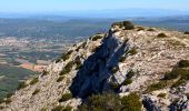 Randonnée Marche Pourrières - Mont Aurélien  - Photo 14