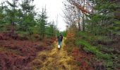 Tour Wandern Gedinne - Balade à la Croix-Scaille - Les Fanges de l'Abîme - Photo 2