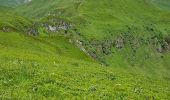 Excursión Senderismo Lavigerie - 2024 RA Cantal Puy Mary - Photo 20