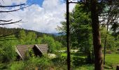 Tour Wandern Séchilienne - Réserve naturelle du lac Luitel - Photo 3