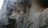 Excursión Senderismo Cheval-Blanc - les gorges du regalon - Photo 11