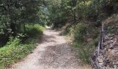 Trail Walking Sumène - Pinoch - Le Castanet en boucle - Photo 2