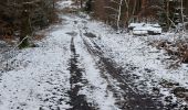 Trail Walking Bouillon - Cornimont 240123 - Photo 18