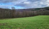 Trail Walking Wellin - Daverdisse 040124 - Photo 8
